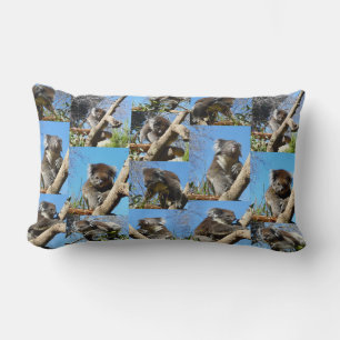"Koala Wonders: A Heartwarming Photo Collage" Lumbar Cushion