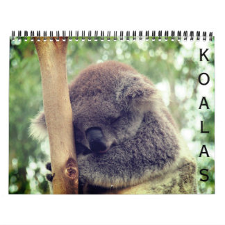 koalas 2027 calendar