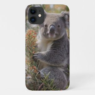 "Koala's Haven: Nestled in a Grevillea Tree" iPhone 11 Case