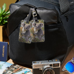 "Koala's Haven: Nestled in a Grevillea Tree" Luggage Tag