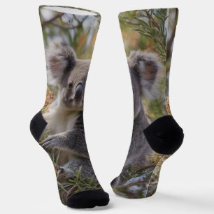 "Koala's Haven: Nestled in a Grevillea Tree" Socks
