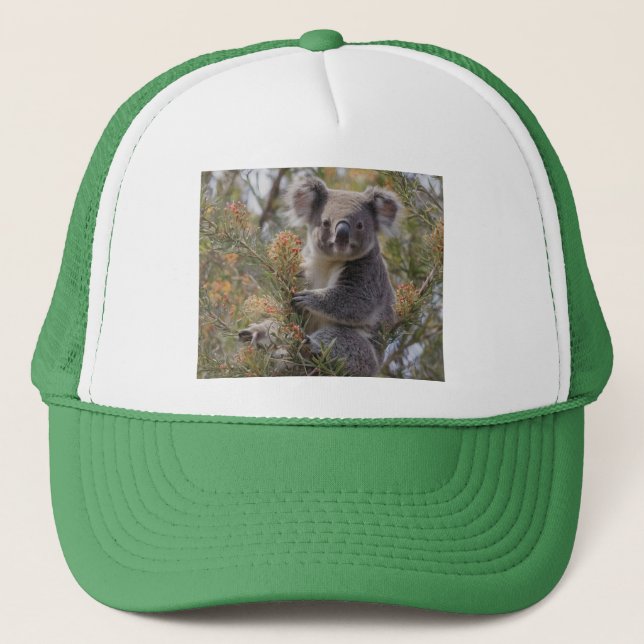 "Koala's Haven: Nestled in a Grevillea Tree" Trucker Hat (Front)