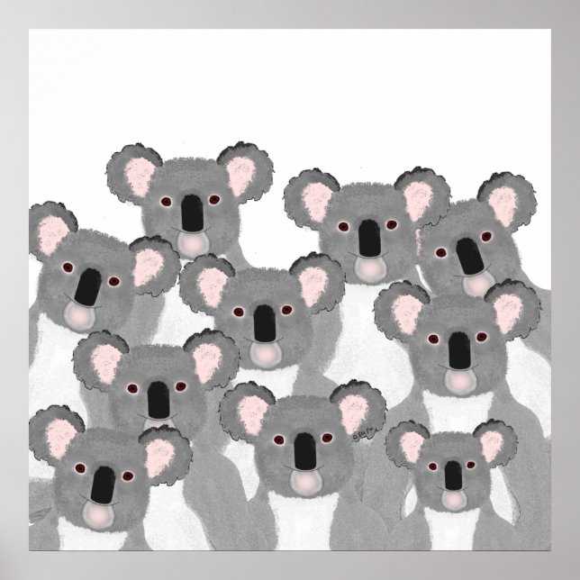 Koalas Poster (Front)