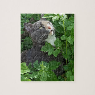 Kobayashi in the Green Jigsaw Puzzle