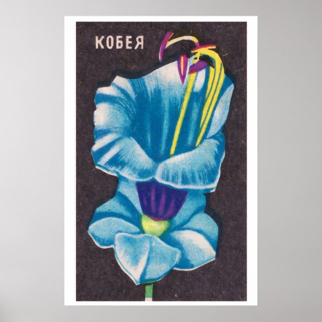 Kobeya Flower - Matchbox Print - Aesthetic Wall (Front)
