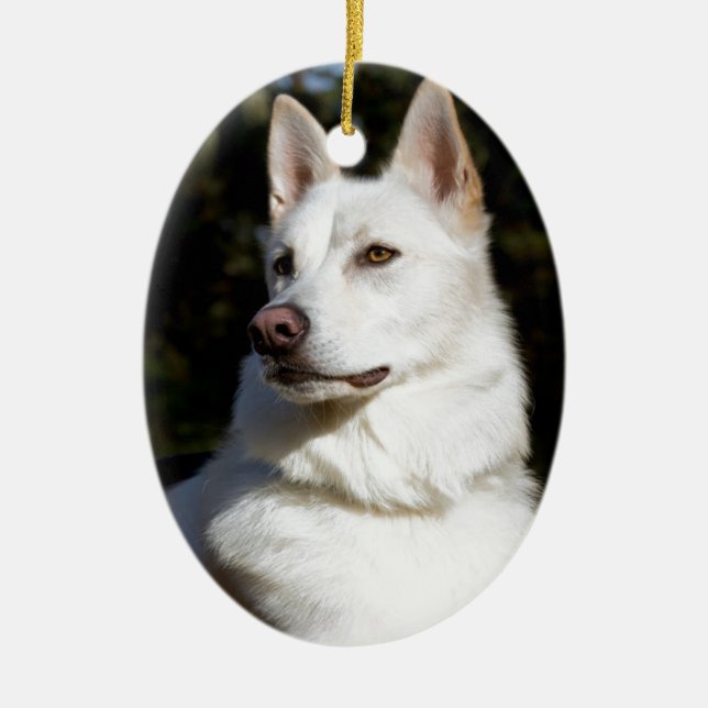 Kodah The White Shepherd Wolfdog Ceramic Tree Decoration (Front)