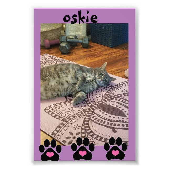 Kodak Professional Photo Paper (Satin) (Front)