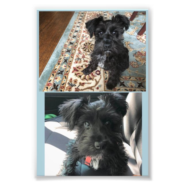 Kodak Professional Photo Paper (Satin) (Front)