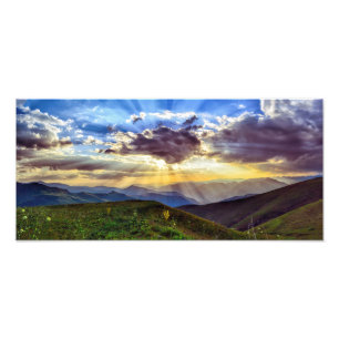 Kodak Professional Photo Print