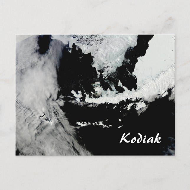 Kodiak Alaska Postcard (Front)