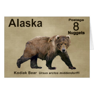 Kodiak Bear