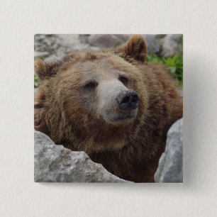 Kodiak Bear 15 Cm Square Badge