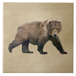 Kodiak Bear Ceramic Tile