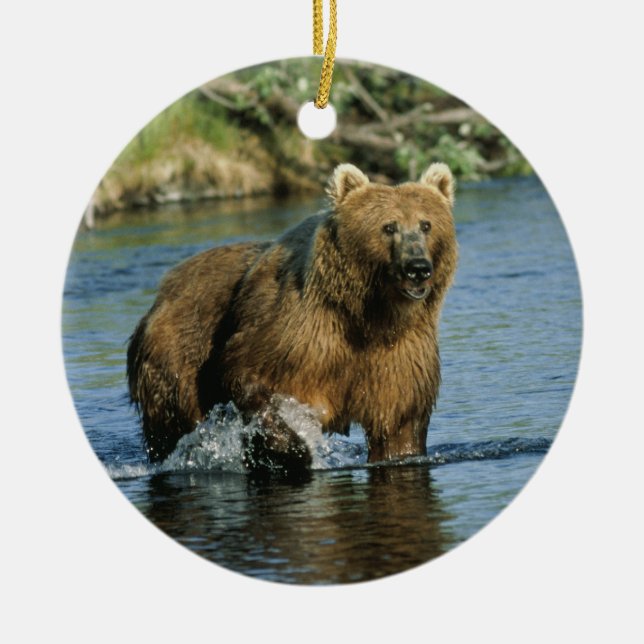 Kodiak Bear Ceramic Tree Decoration (Front)