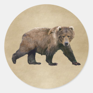 Kodiak Bear Classic Round Sticker