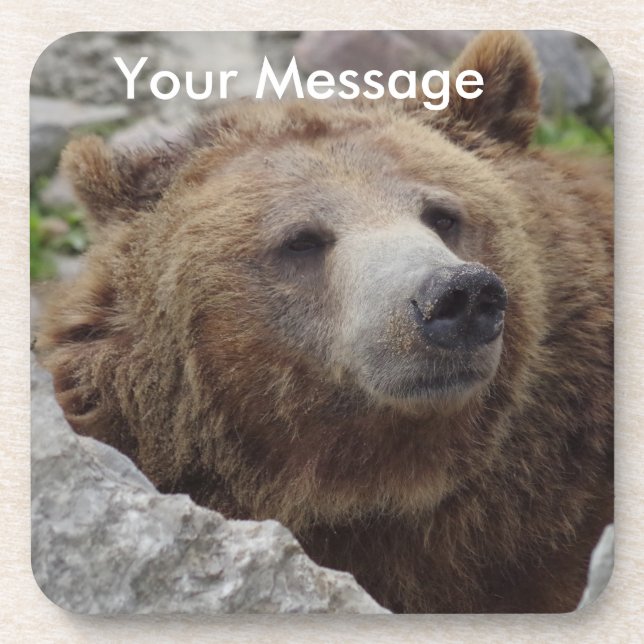 Kodiak Bear Coaster (Front)