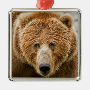 Kodiak Bear Face - Wild Alaska Metal Ornament