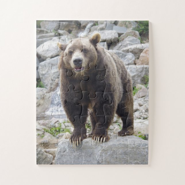 Kodiak Bear Jigsaw Puzzle (Vertical)