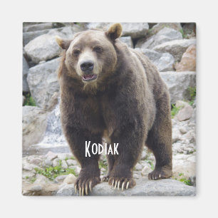 Kodiak bear magnet