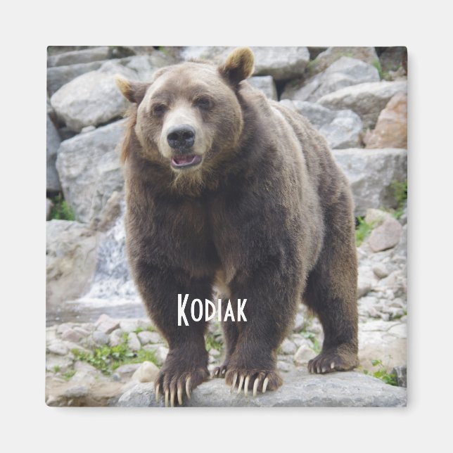 Kodiak bear magnet (Front)