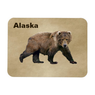 Kodiak Bear Magnet