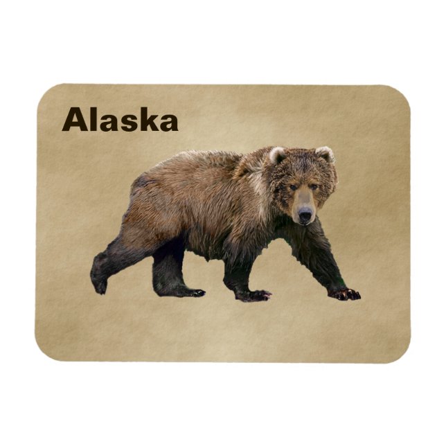Kodiak Bear Magnet (Horizontal)