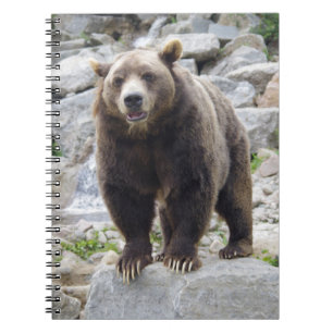 Kodiak Bear Notebook
