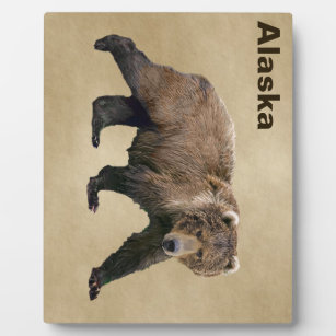 Kodiak Bear On Old Paper Plaque