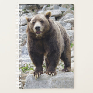 Kodiak Bear Planner