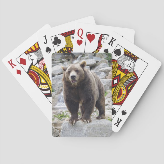 Kodiak Bear Playing Cards (Back)