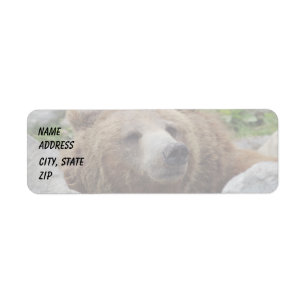 Kodiak Bear Return Address Label