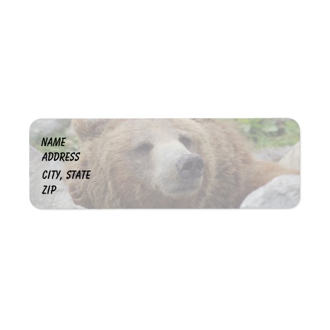 Kodiak Bear Return Address Label (Front)