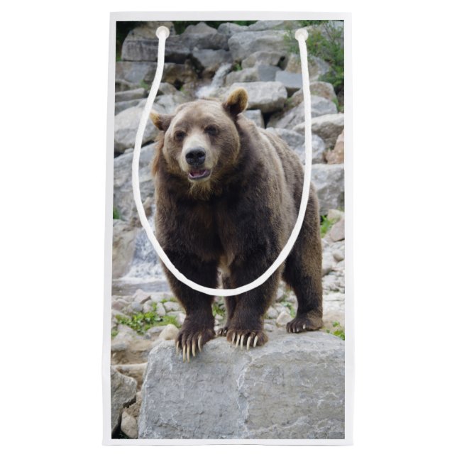 Kodiak Bear Small Gift Bag (Front)