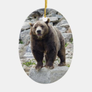 Kodiak Bear Standing on a Rock Ceramic Tree Decoration