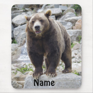 Kodiak Bear Standing on a Rock Mouse Pad