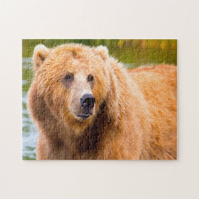 Kodiak Brown Bears. Jigsaw Puzzle (Horizontal)
