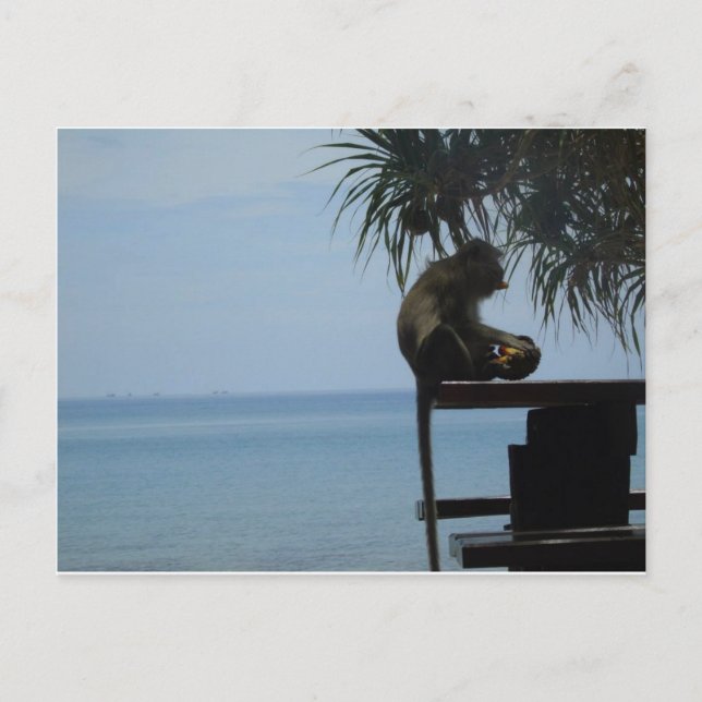 Koh Lanta Postcard (Front)