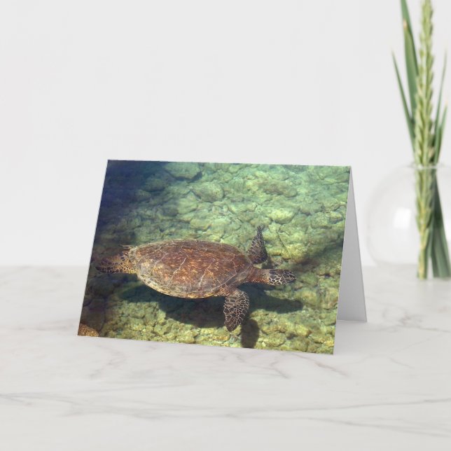 Kohala Sea Turtle Thank You Card (Front)