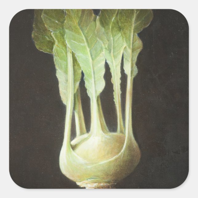 Kohl Rabi 2012 Square Sticker (Front)
