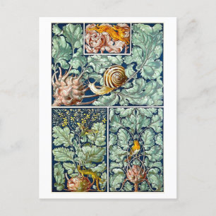 Kohlrabi as Decorative Object Postcard