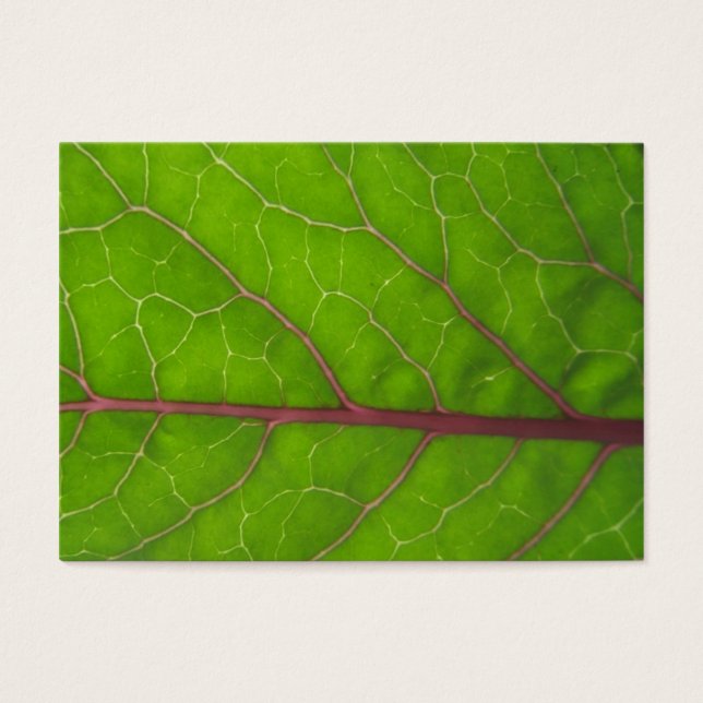 Kohlrabi Leaf ~ ATC (Front)
