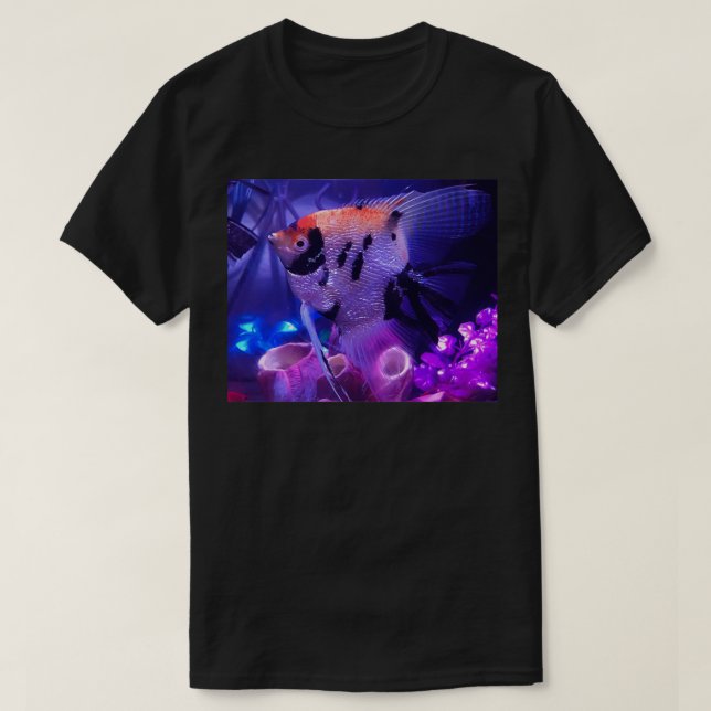 Koi Angelfish Classic TShirt (Design Front)