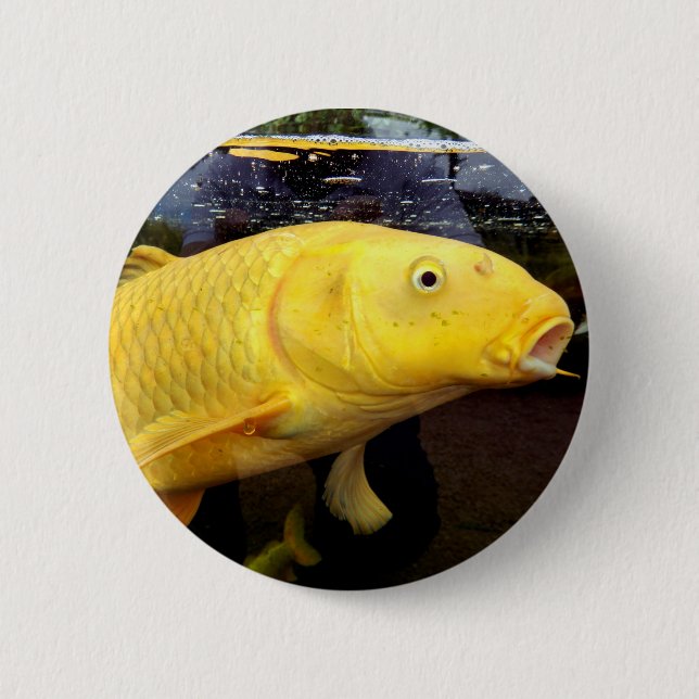 Koi Carp Badge (Front)