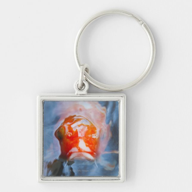 Koi Carp (Cyprinus carpio), Japan Key Ring (Front)