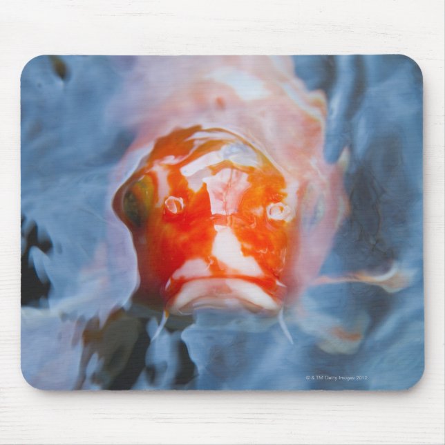 Koi Carp (Cyprinus carpio), Japan Mouse Pad (Front)