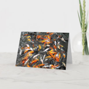 Koi carp feeding frenzy holiday card