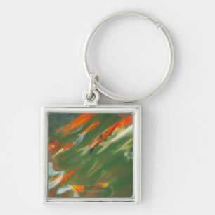Koi carp fish swimming in a pond key ring