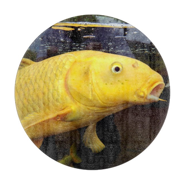 Koi Carp Glass Chopping Board (Front)