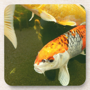 Koi Carp Hard Plastic Coaster