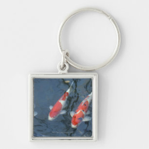 Koi carp in pond, high angle view key ring